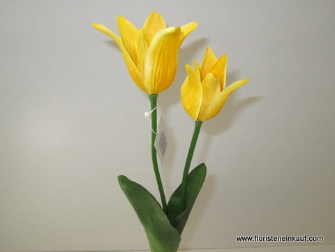 Tulpe mit zwei Blüten, gelb, 45 cm