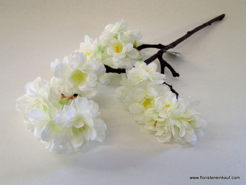 Kirschblüten-Pick, 40 cm, cream