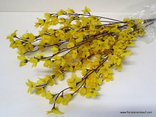 Forsythie, 83 cm, gelb, 6 Zweige