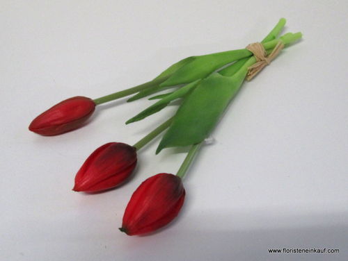 Tulpenbund, Kunststoff, 24 cm, rot, 3 Stck.