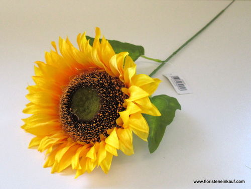 Sonnenblume, 67cm