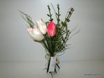 Tulpenbündchen, 21 cm, creme-aprico,