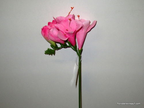 Freesie, 58 cm, pink