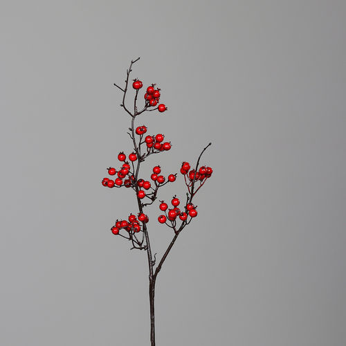 Beerenzweig, 52 cm, red