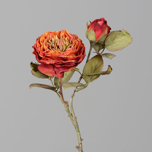 Rose mit 1 Blüte und 1 Knospe, trocken Optik&Touch, orange, 33 cm