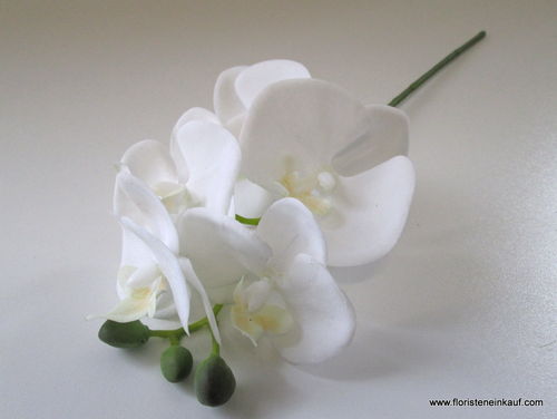 Orchidee Phalaenopsis, 37 cm, white