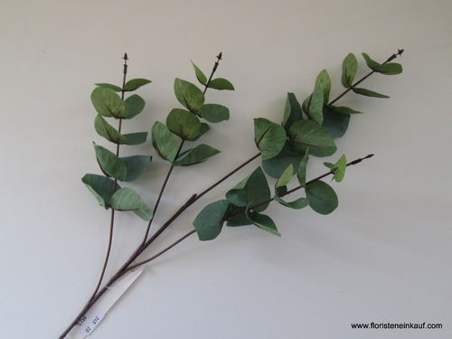 Eukalyptus Zweig, 63cm, graugrün