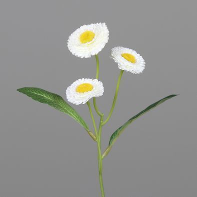 Bellis Pick m.3 Blüten,24cm,cream