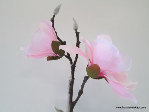 Magnolie 52cm, rosa