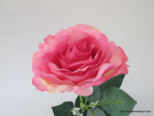 Rose 68cm, pink