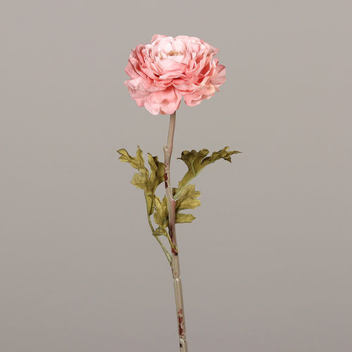 Ranunkel, 48 cm, rosee