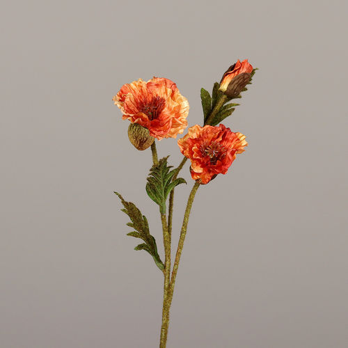 Mohn mit 2 Blüten und 1 Knospe, 63cm, orange