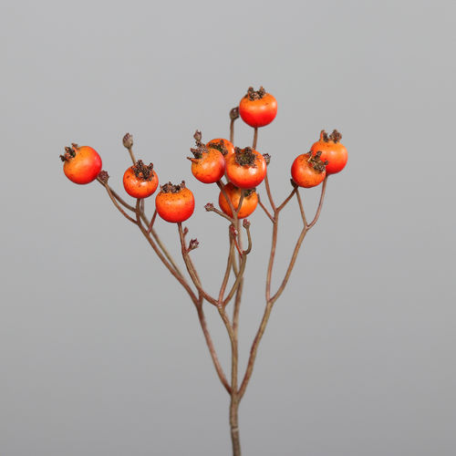 Hagebuttenzweig, 46 cm, orange-rot