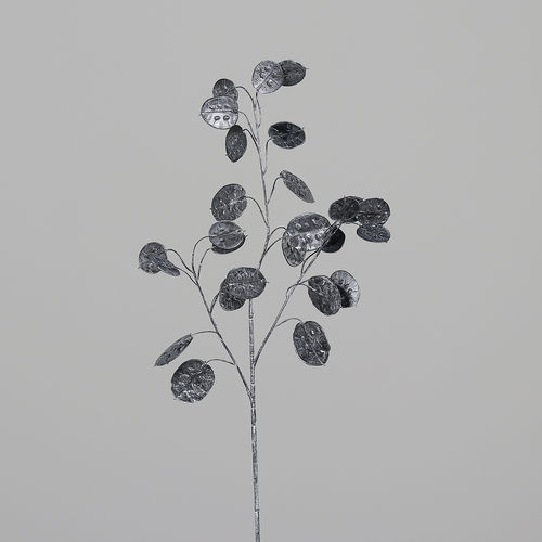 Lunaria Zweig, 68 cm, black