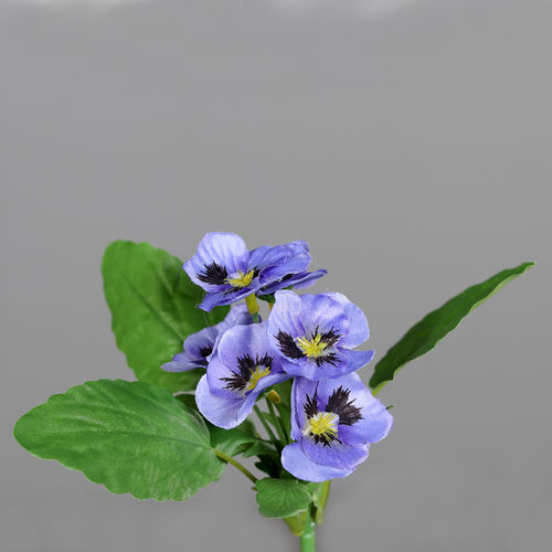 Stiefmütterchen Pick mit 6 Blüten, 17 cm,violett